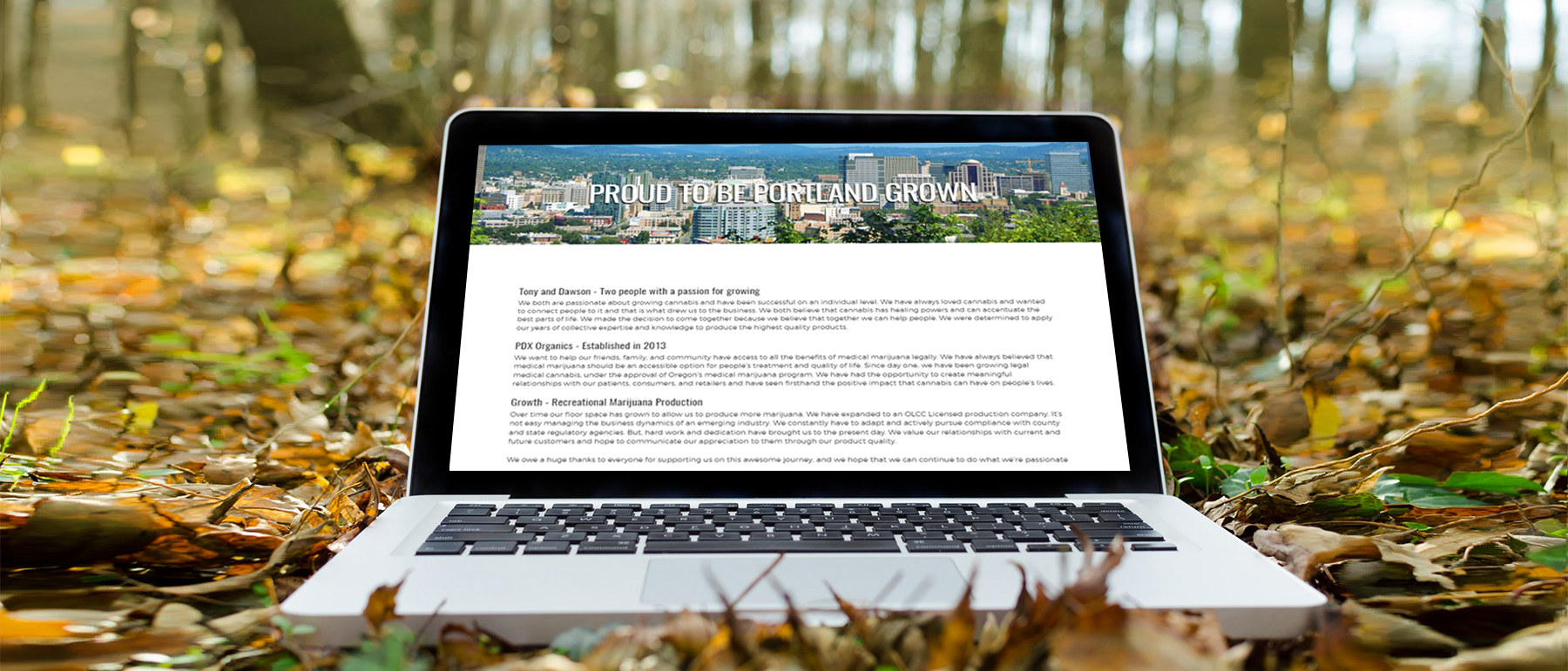 Website Design and Development